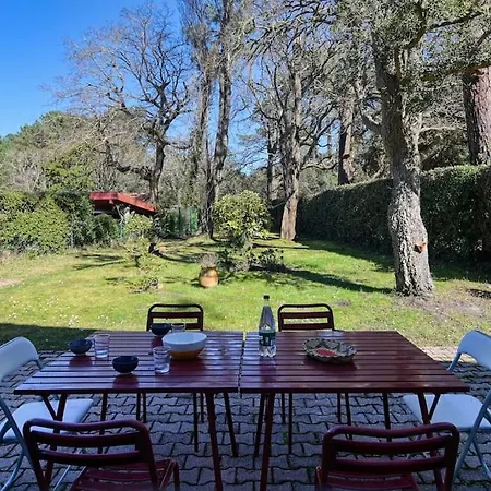 Makila - 6 People. - 20m From Hossegor *